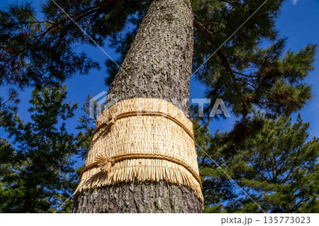 こも巻き 135773023