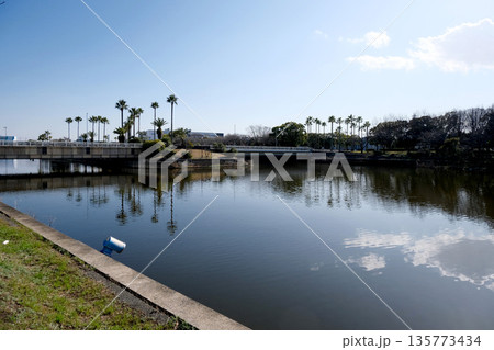 愛知県名古屋市港区_荒子川フェニックスアイランド1_2024年3月 愛知県名古屋市港区_荒子川フェニックスアイランド1_2024年3月 135773434
