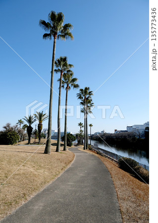 愛知県名古屋市港区_荒子川フェニックスアイランド3_2024年3月 愛知県名古屋市港区_荒子川フェニックスアイランド3_2024年3月 135773436