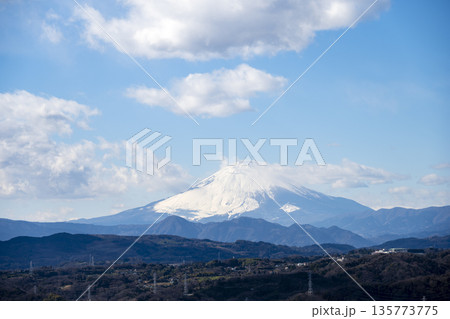 富士山 湘南平 高麗山公園 冬 1月 【神奈川県 平塚市】 135773775