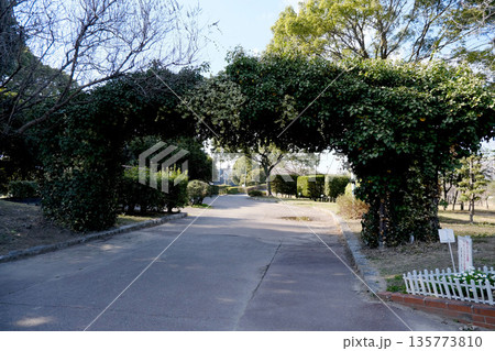 愛知県名古屋市港区_荒子川公園7_2024年3月 135773810