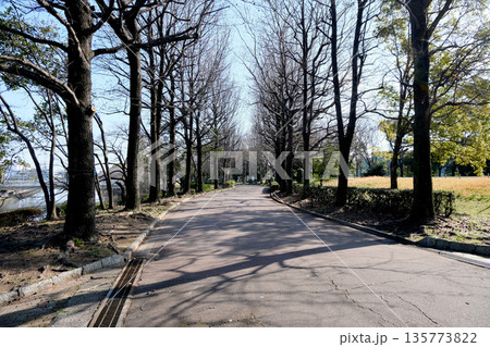 愛知県名古屋市港区_荒子川公園18_2024年3月 愛知県名古屋市港区_荒子川公園18_2024年3月 135773822