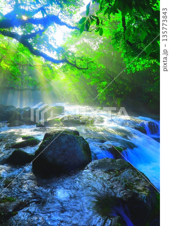 美しい光芒の出る菊池渓谷(熊本県菊池市・縦構図) 美しい光芒の出る菊池渓谷(熊本県菊池市・縦構図) 135773843