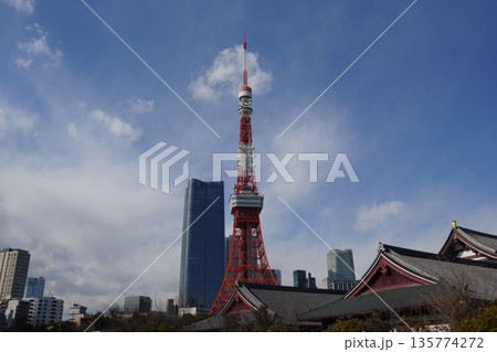 増上寺の向こうに東京タワー 増上寺の向こうに東京タワー 135774272