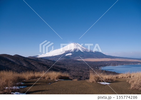 鉄砲木の頭から望む冠雪の富士山 135774286