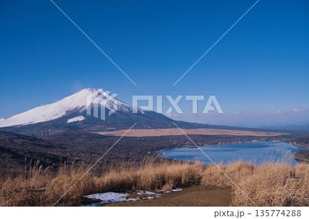 鉄砲木の頭から望む冠雪の富士山 鉄砲木の頭から望む冠雪の富士山 135774288