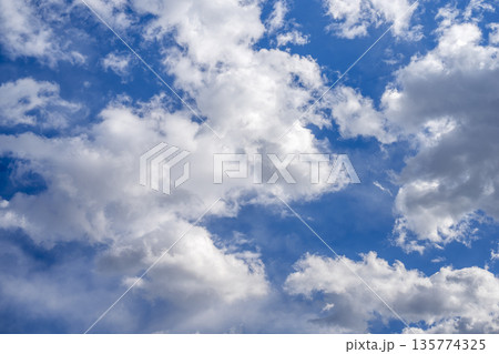 冬の空 青空 空 晴れ 冬 1月 【東京都】 135774325