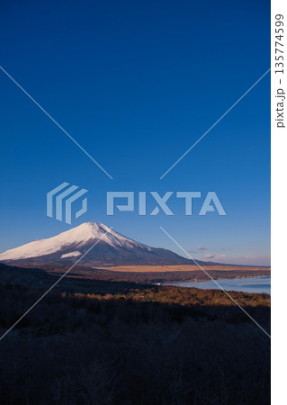 山中湖明神山パノラマ台から望む冠雪の富士山 山中湖明神山パノラマ台から望む冠雪の富士山 135774599