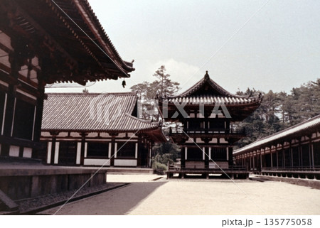 古写真 1956年 奈良 唐招提寺の鼓楼 古写真 1956年 奈良 唐招提寺の鼓楼 135775058