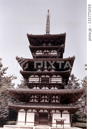 古写真 1956年 奈良 薬師寺の東塔 古写真 1956年 奈良 薬師寺の東塔 135775059