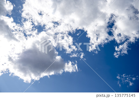 冬の空 青空 空 晴れ 冬 1月 【東京都】 冬の空 青空 空 晴れ 冬 1月 【東京都】 135775145