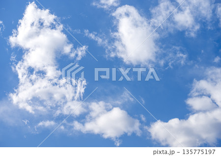 冬の空 青空 空 晴れ 冬 1月 【東京都】 135775197