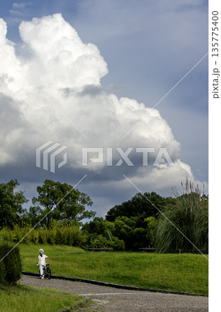 入道雲と見上げる少女の夏風景 入道雲と見上げる少女の夏風景 135775400