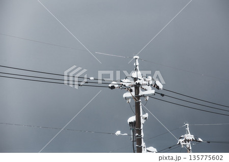 雪景色の電信柱にカラス 135775602