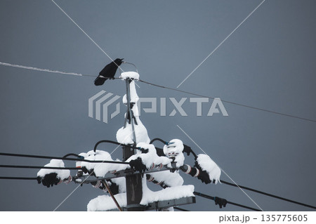 雪景色の電信柱にカラス 135775605