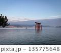 朝日に照らされ安芸の宮島の鳥居 135775648