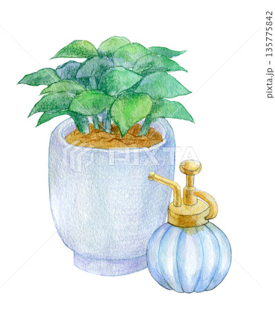 水彩イラスト　手描きイラスト　室内の観葉植物 135775842