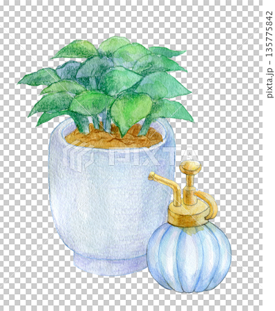水彩イラスト　手描きイラスト　室内の観葉植物 135775842