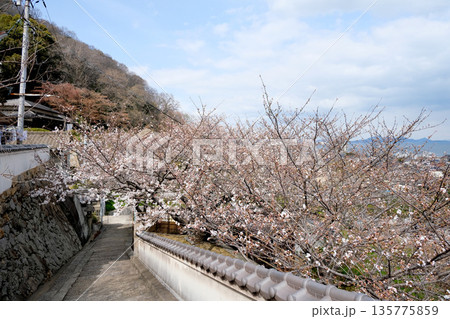 広島県福山市_医王寺6_2025年3月 広島県福山市_医王寺6_2025年3月 135775859