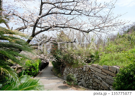広島県福山市_医王寺山門前1_2025年3月 135775877