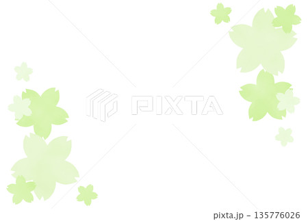 黄緑色のシンプルな桜のフレーム 黄緑色のシンプルな桜のフレーム 135776026