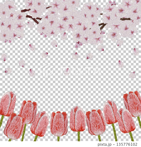 【桜と赤色のチューリップフレーム】手刺繍イラスト素材 135776102