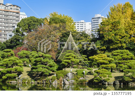 東京都 江東区 清澄庭園 大泉水 中の島 秋の風景 都措定名勝 東京都 江東区 清澄庭園 大泉水 中の島 秋の風景 都措定名勝 135777195