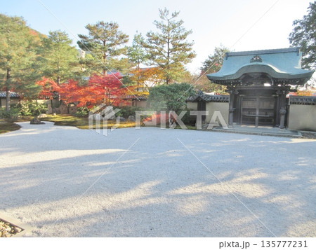 高台寺 秋の紅葉と勅使門 庭園 高台寺 秋の紅葉と勅使門 庭園 135777231