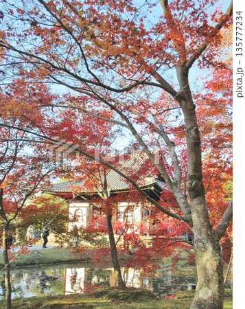 高台寺　秋の紅葉と開山堂 135777234