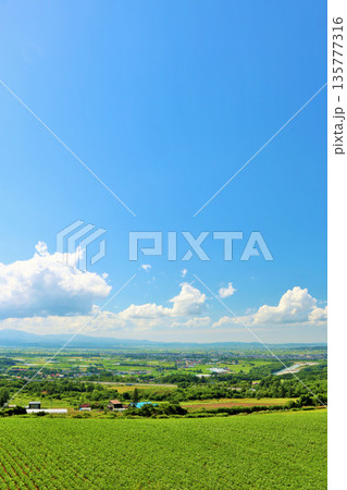 北海道 夏の青空と大地 北海道 夏の青空と大地 135777316