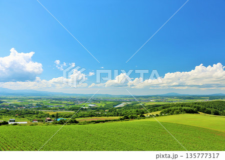 北海道　夏の青空と大地 135777317