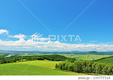 北海道 夏の青空と大地 北海道 夏の青空と大地 135777318