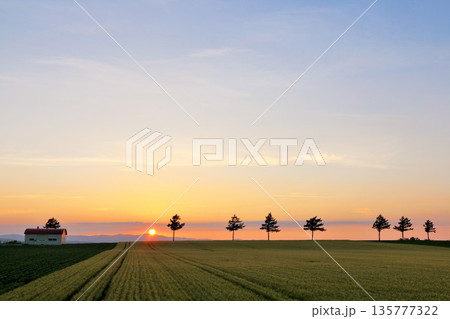 北海道　夕暮れのメルヘンの丘 135777322