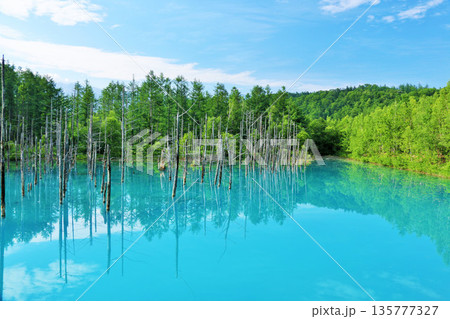 北海道　青空の青い池 135777327