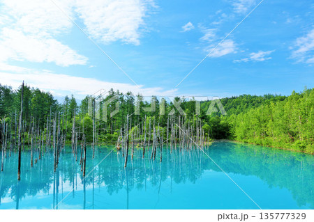 北海道　青空の青い池 135777329