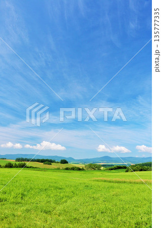 北海道　夏の青空と美瑛の風景 135777335