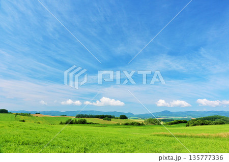 北海道 夏の青空と美瑛の風景 北海道 夏の青空と美瑛の風景 135777336