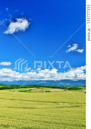 北海道 夏の青空と美瑛の風景 北海道 夏の青空と美瑛の風景 135777351