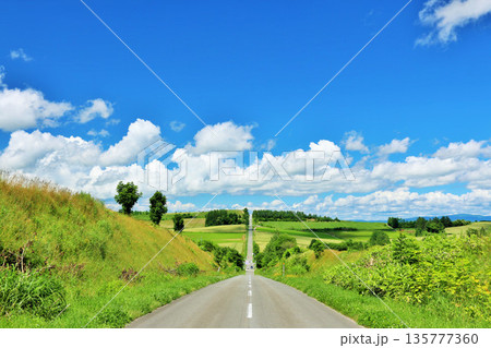 北海道　ジェットコースターの道 135777360