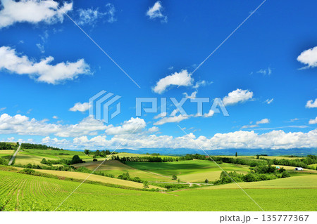 北海道 夏の青空と美瑛の風景 北海道 夏の青空と美瑛の風景 135777367