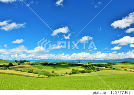 北海道　夏の青空と美瑛の風景 135777368