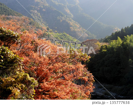 渓谷の紅葉と鉄橋 135777638