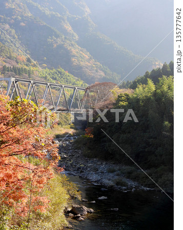 渓谷の紅葉と鉄橋 135777642