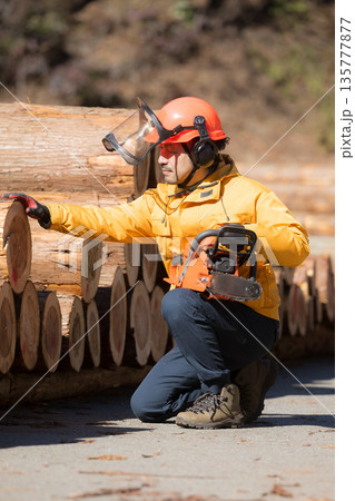 チェンソーを持つ林業、第一次産業のイメージ　丸太を確認や点検する　ご安全に 135777877