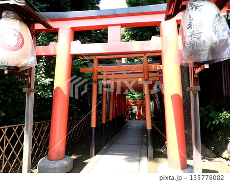 花園稲荷神社 鳥居 花園稲荷神社 鳥居 135778082