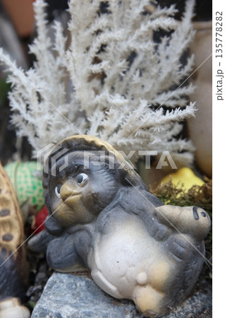 庭先園芸に冬到来 135778282