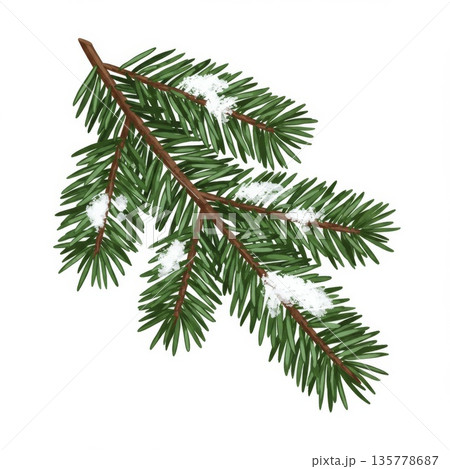 Snowy Pine Branch Illustration Snowy Pine Branch Illustration 135778687