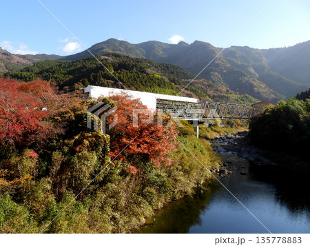 インフラ整備中の鉄橋と紅葉の風景 135778883