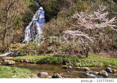 秋田県小坂町 七滝 秋田県小坂町 七滝 135779361