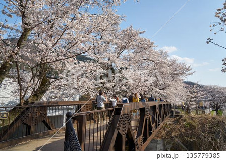 山梨県勝沼市 勝沼ぶどう郷駅の桜 山梨県勝沼市 勝沼ぶどう郷駅の桜 135779385